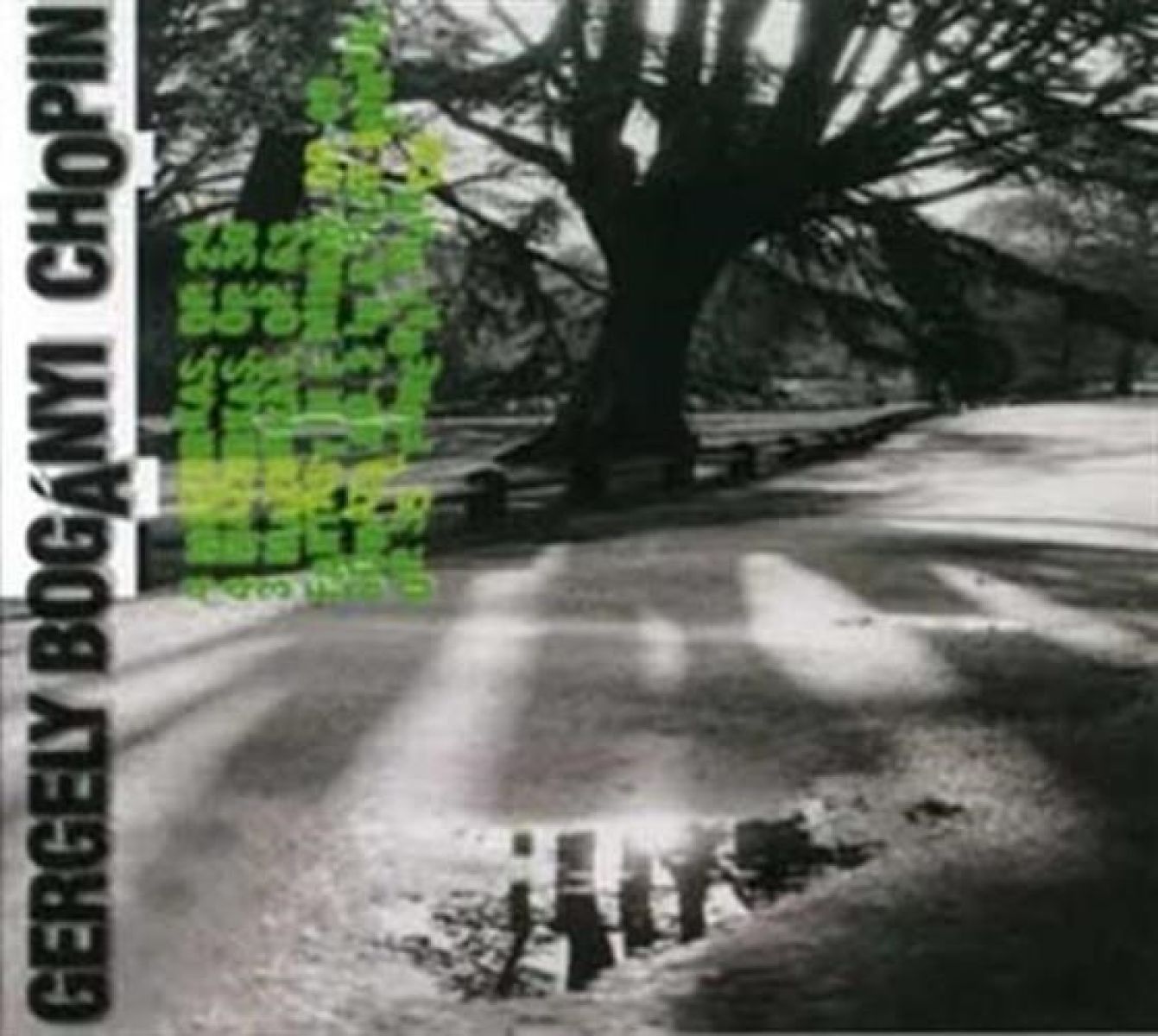 Gergely Boganyi - Chopin Piano Works