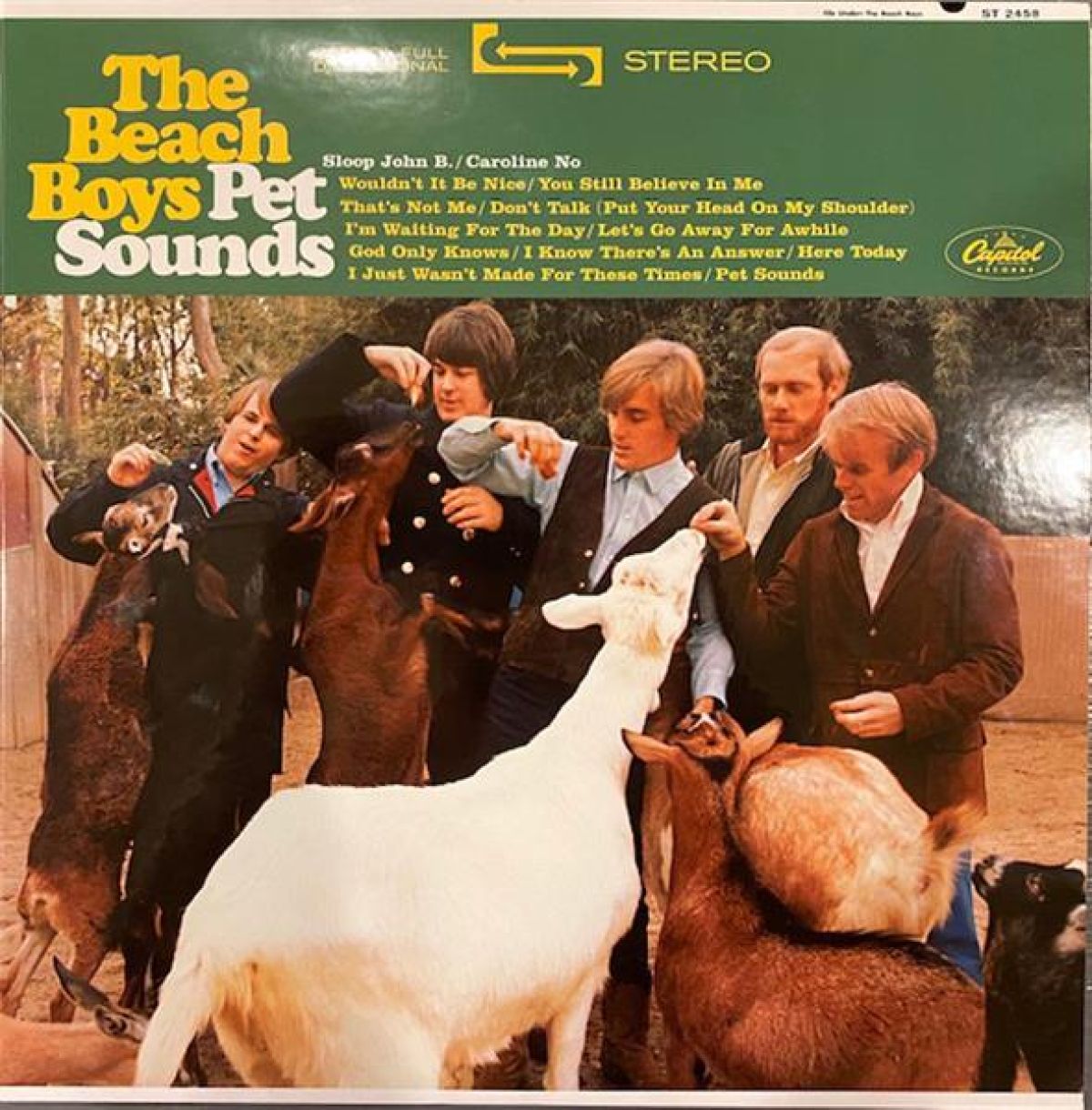 Afbeelding van Pet Sounds