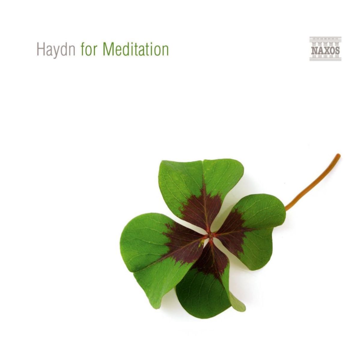Afbeelding van Various Artists - Haydn For Meditation