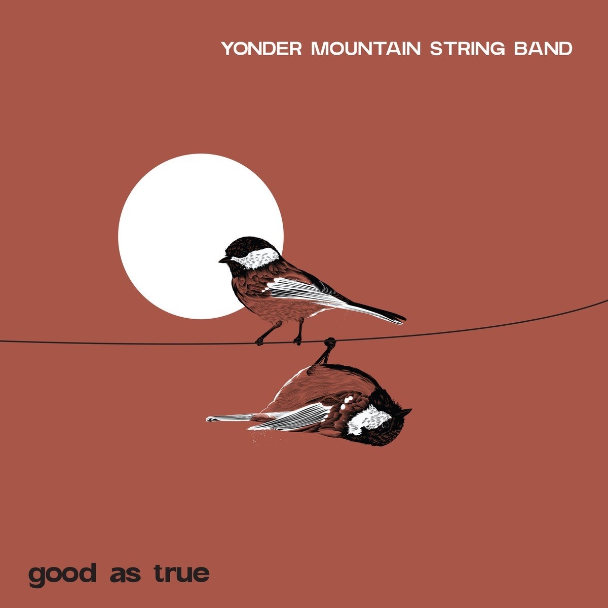 Afbeelding van Yonder Mountain String Band - Good As True