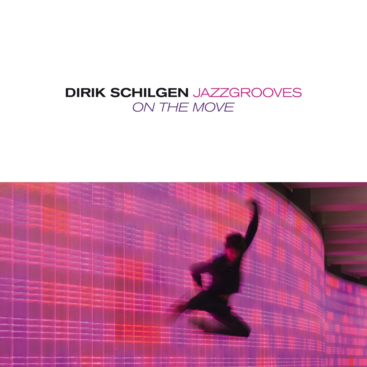 Afbeelding van Dirik Schilgen Jazzgrooves - On The Move