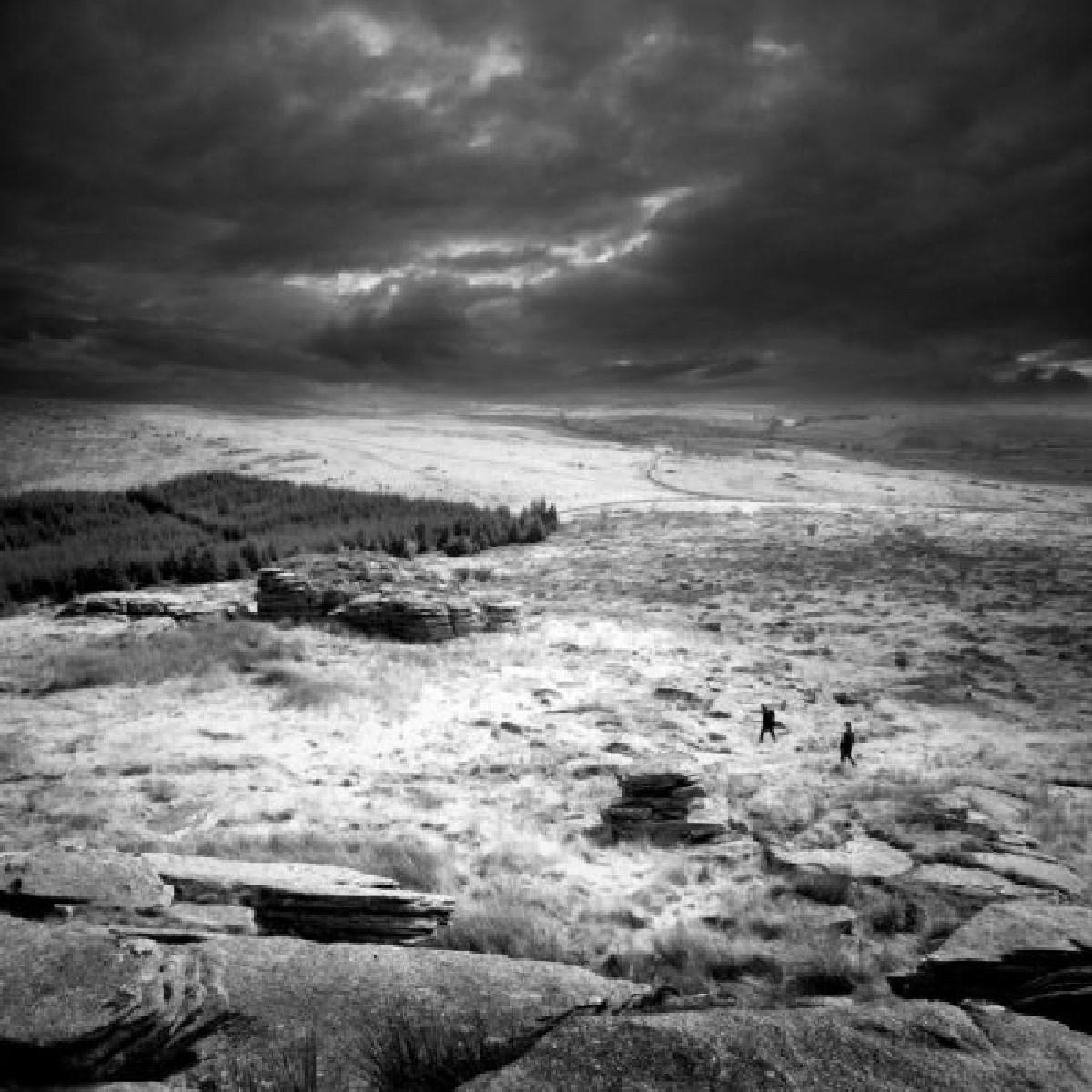 Afbeelding van The Blood Choir - No Windows To The Old World