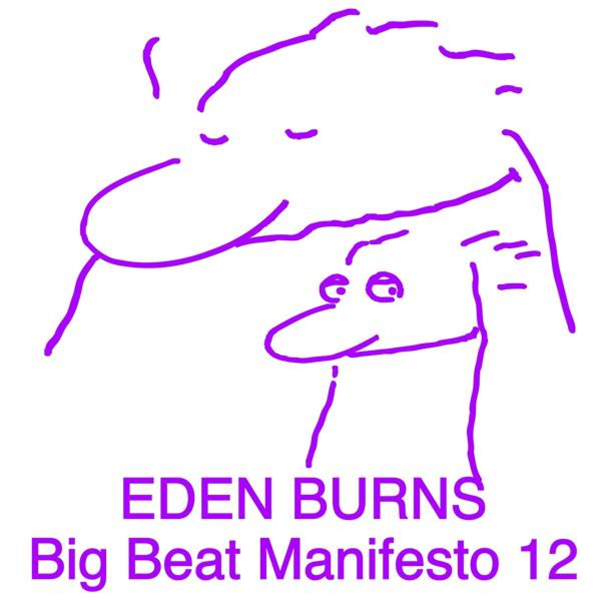 Afbeelding van Big Beat Manifesto Vol. XII