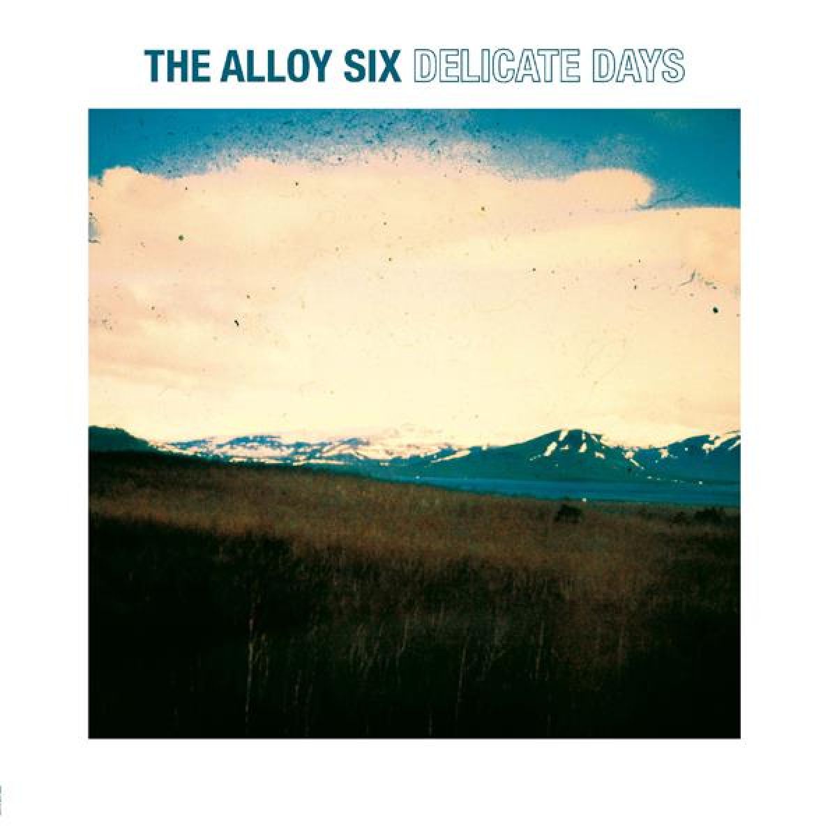 Afbeelding van Delicate Days