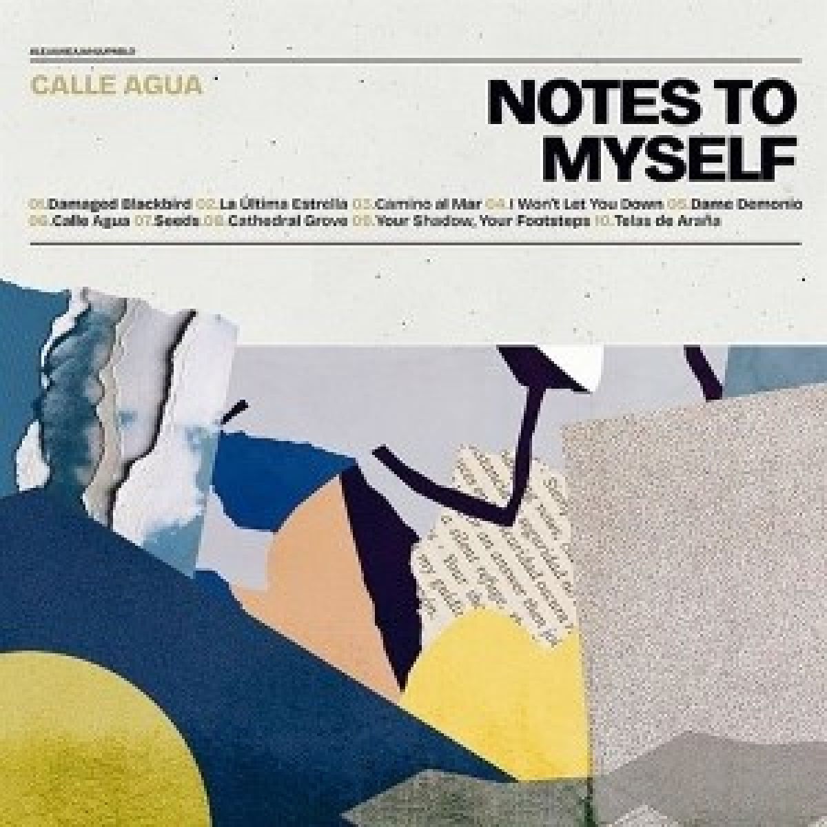 Afbeelding van Notes To Myself - Calle Agua