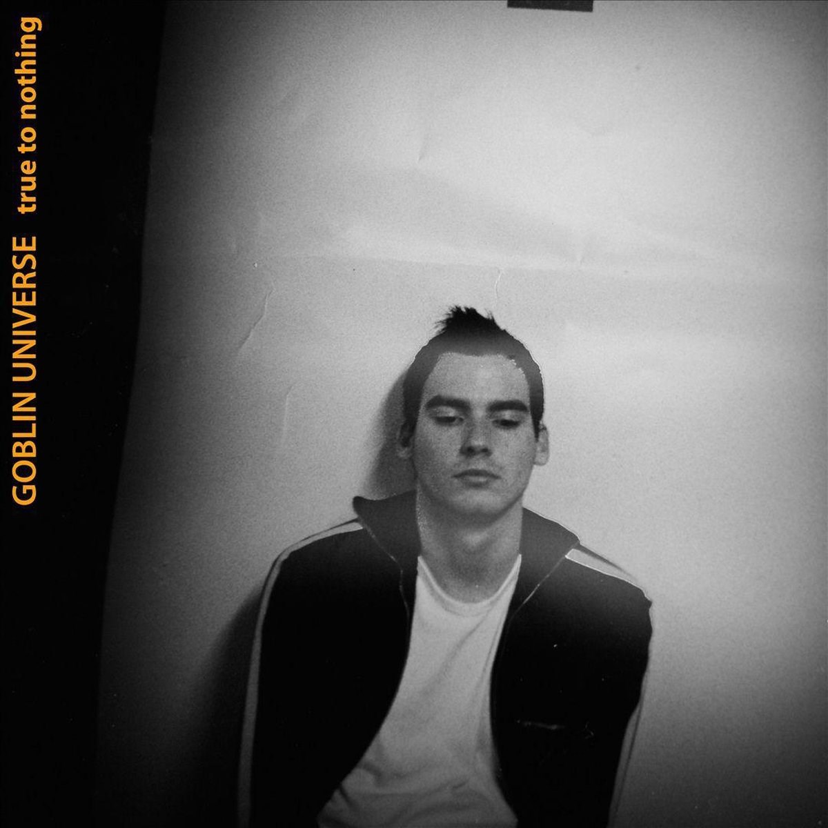 Afbeelding van Goblin Universe - True To Nothing