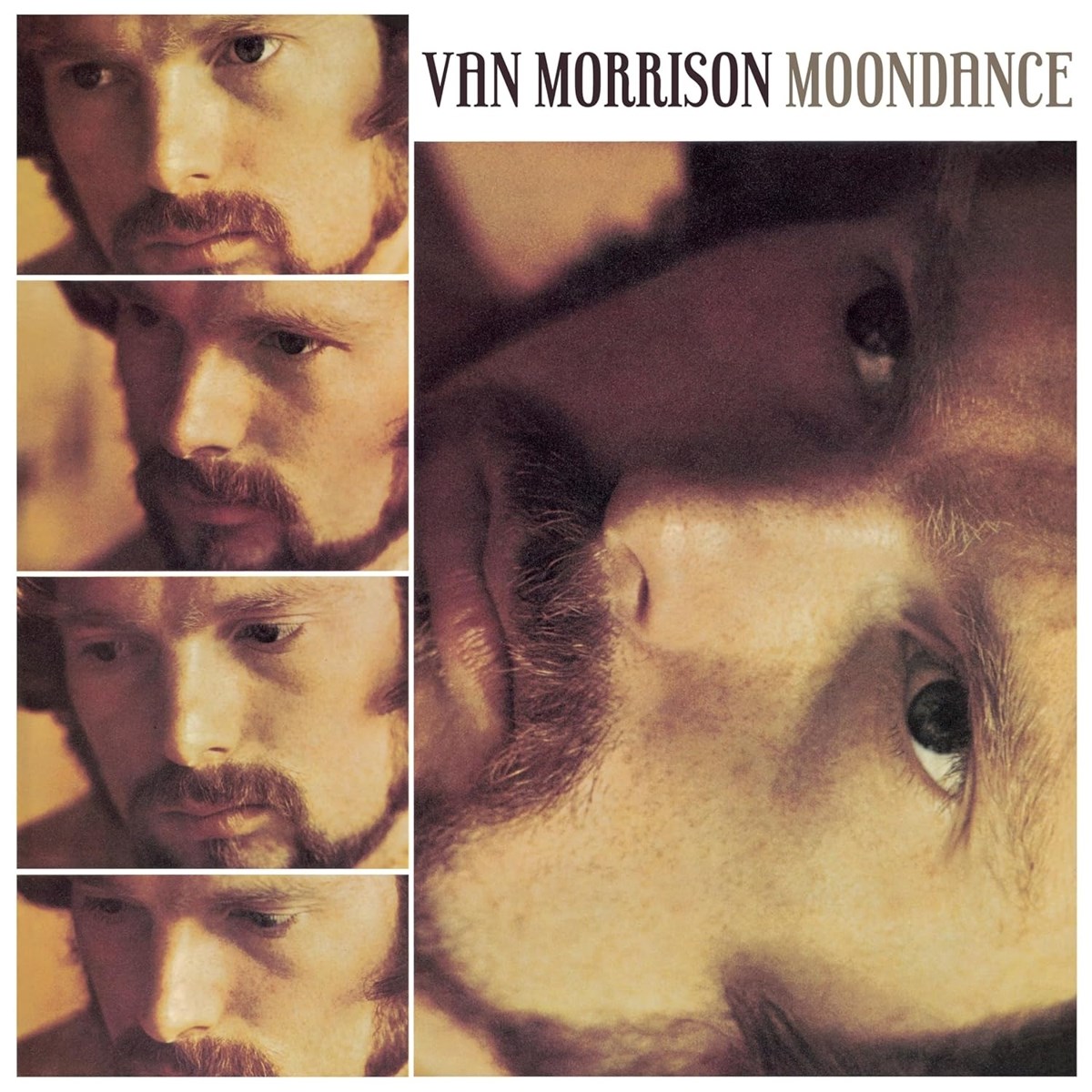 Afbeelding van Van Morrison - Moondance