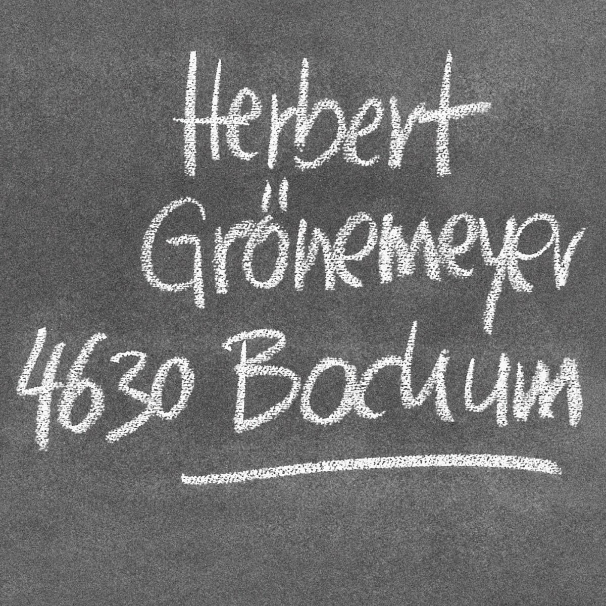 Afbeelding van Herbert Grönemeyer - 4630 Bochum
