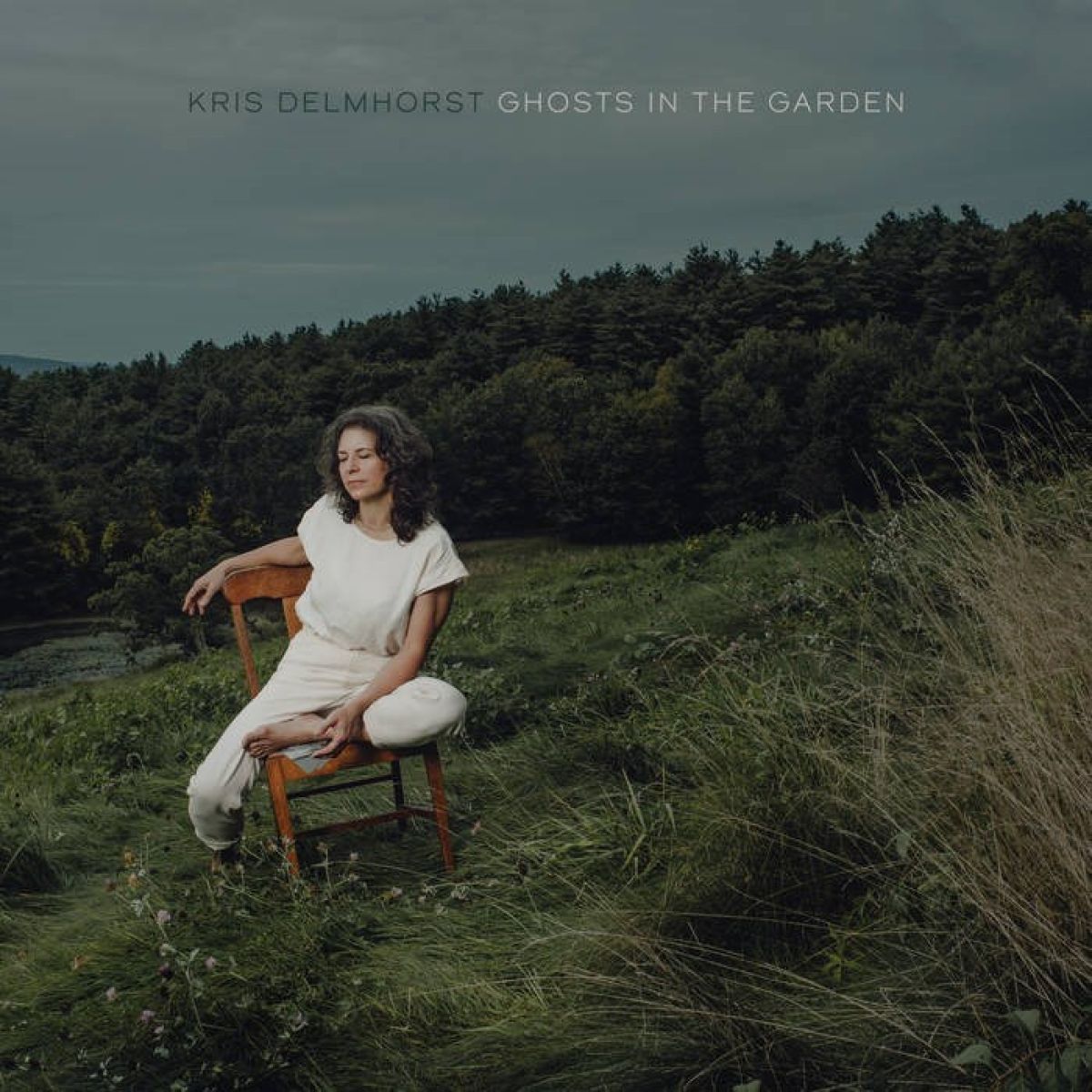 Afbeelding van Kris Delmhorst - Ghosts In The Garden