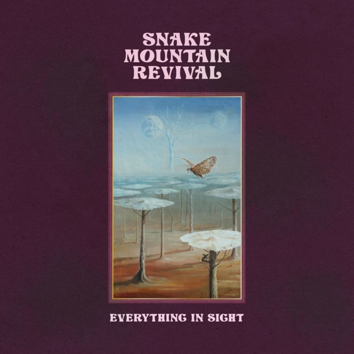 Afbeelding van Snake Mountain Revival - Everything In Sight
