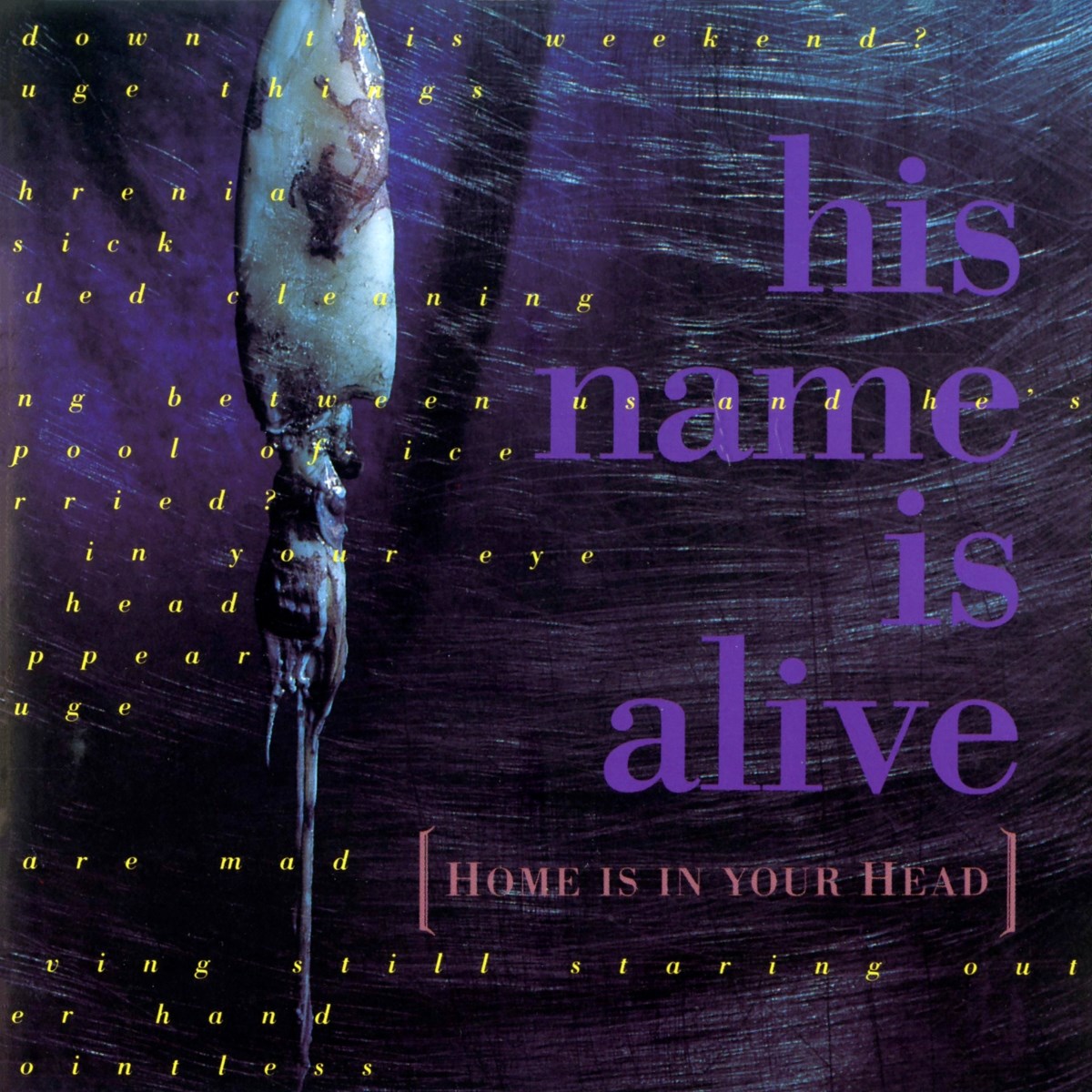 Afbeelding van His Name Is Alive - Home Is In Your Head
