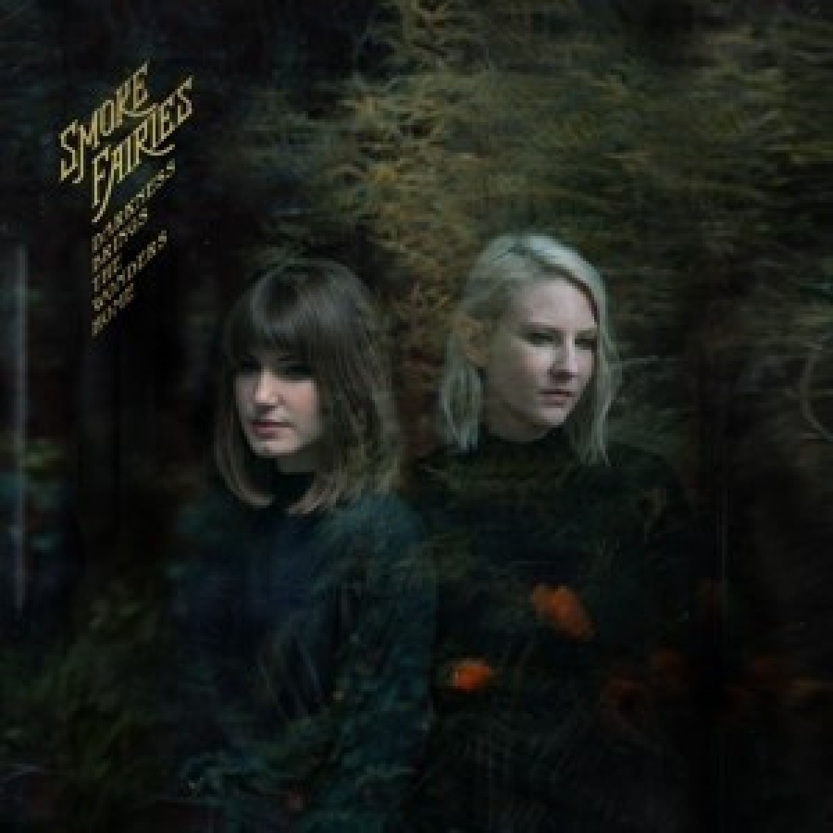 Afbeelding van Darkness Brings The Wonders Home
