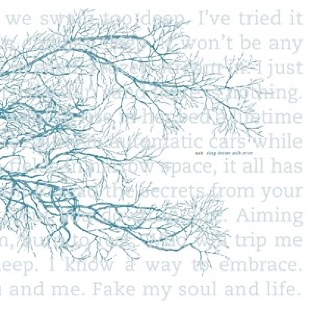 Afbeelding van Oak - Sleep Dream Walk Enter