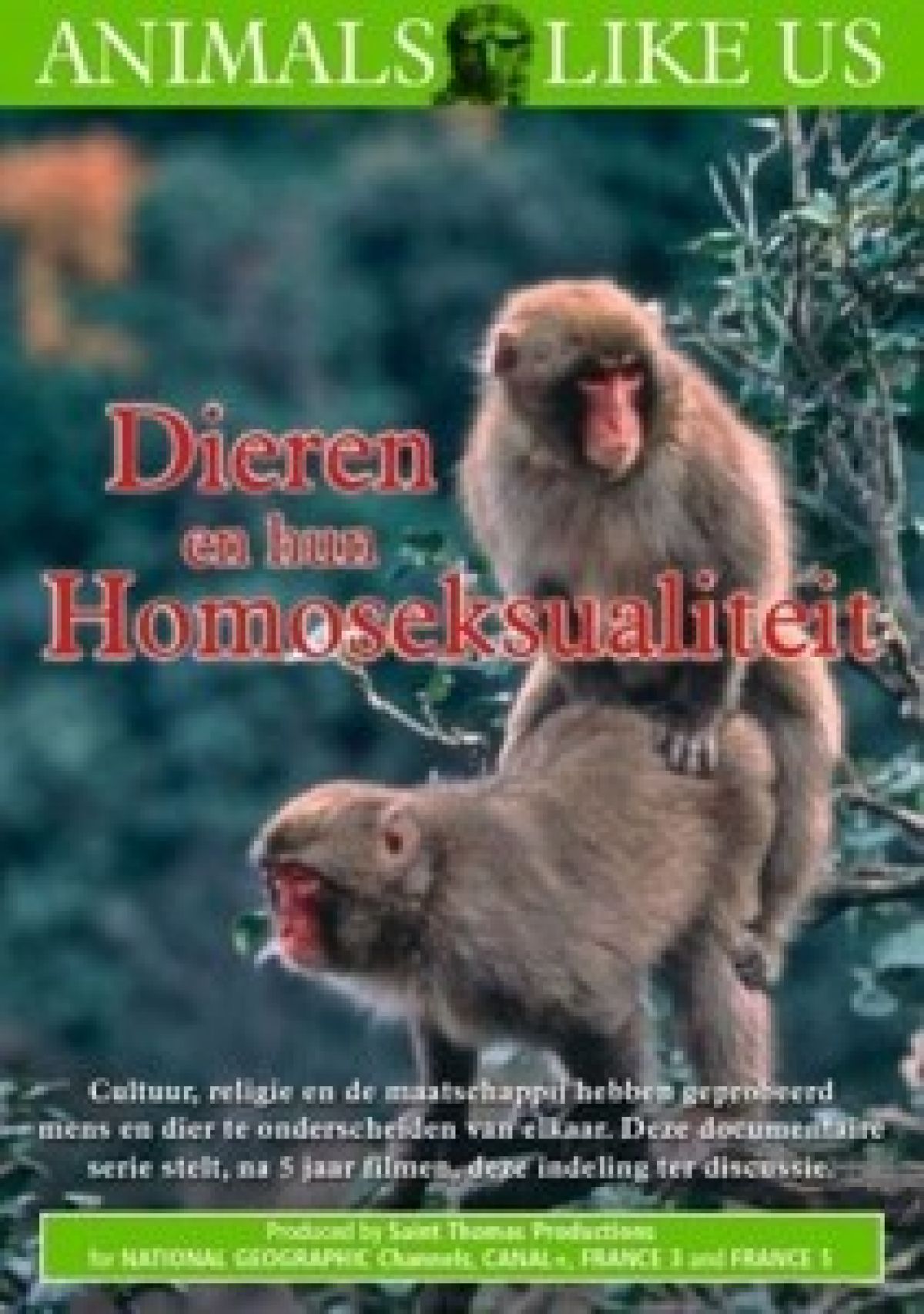Dieren En Hun Homoseksualiteit