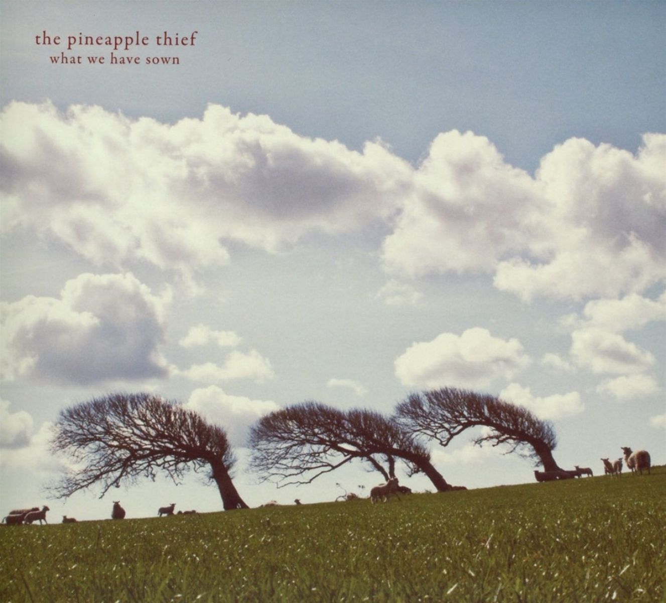 Afbeelding van The Pineapple Thief - What We Have Sown