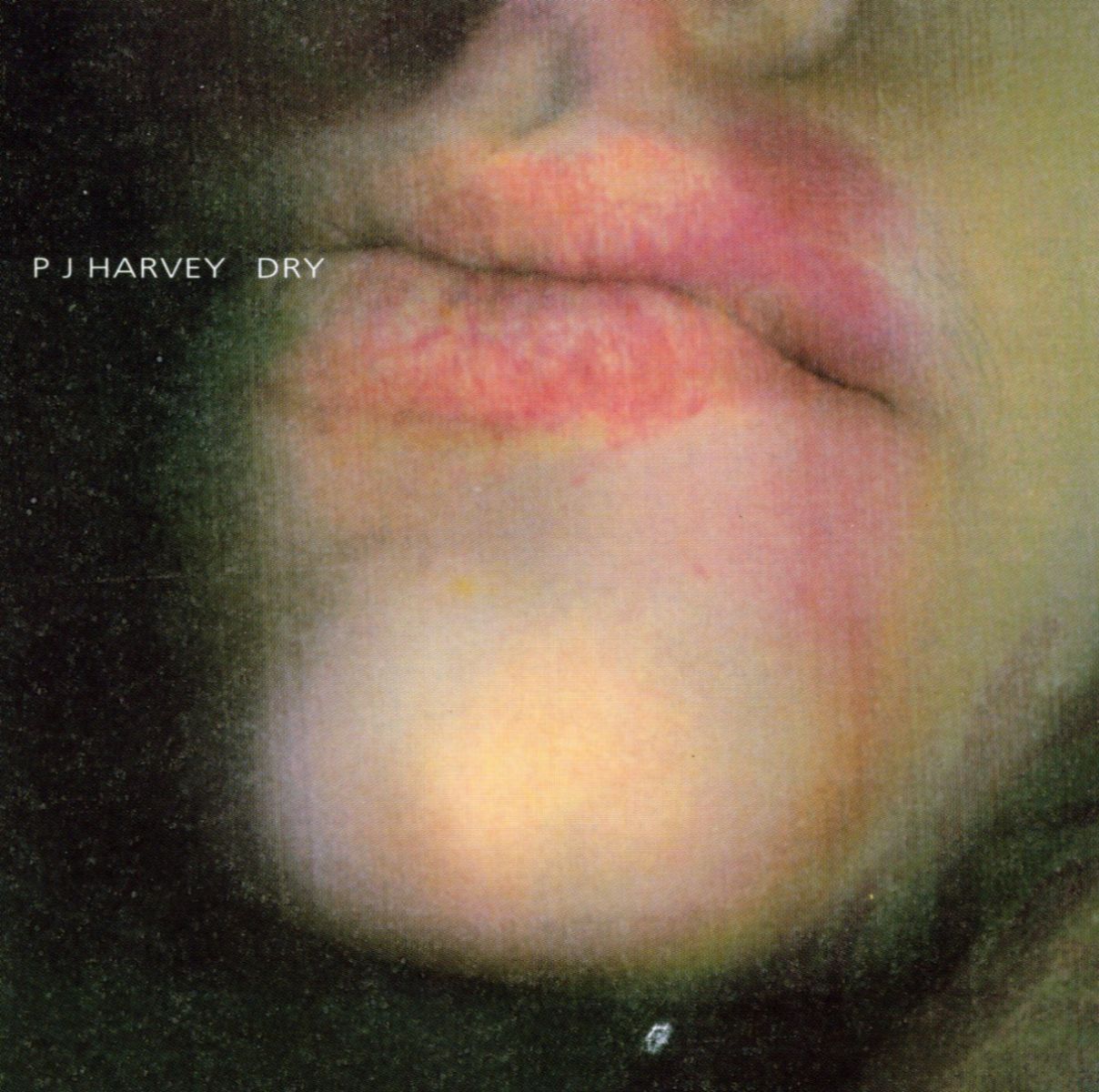 Afbeelding van PJ Harvey - Dry