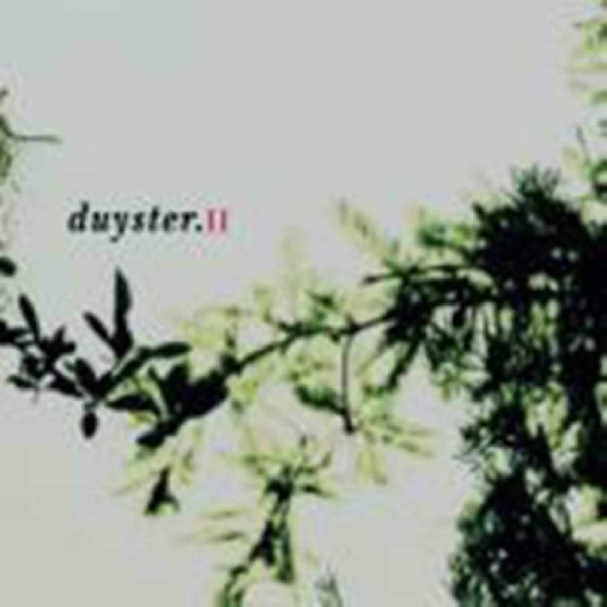 Various Artists - Duyster.II