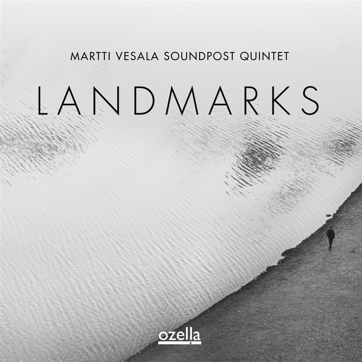 Afbeelding van Martti Vesala Soundpost Quintet - Landmarks