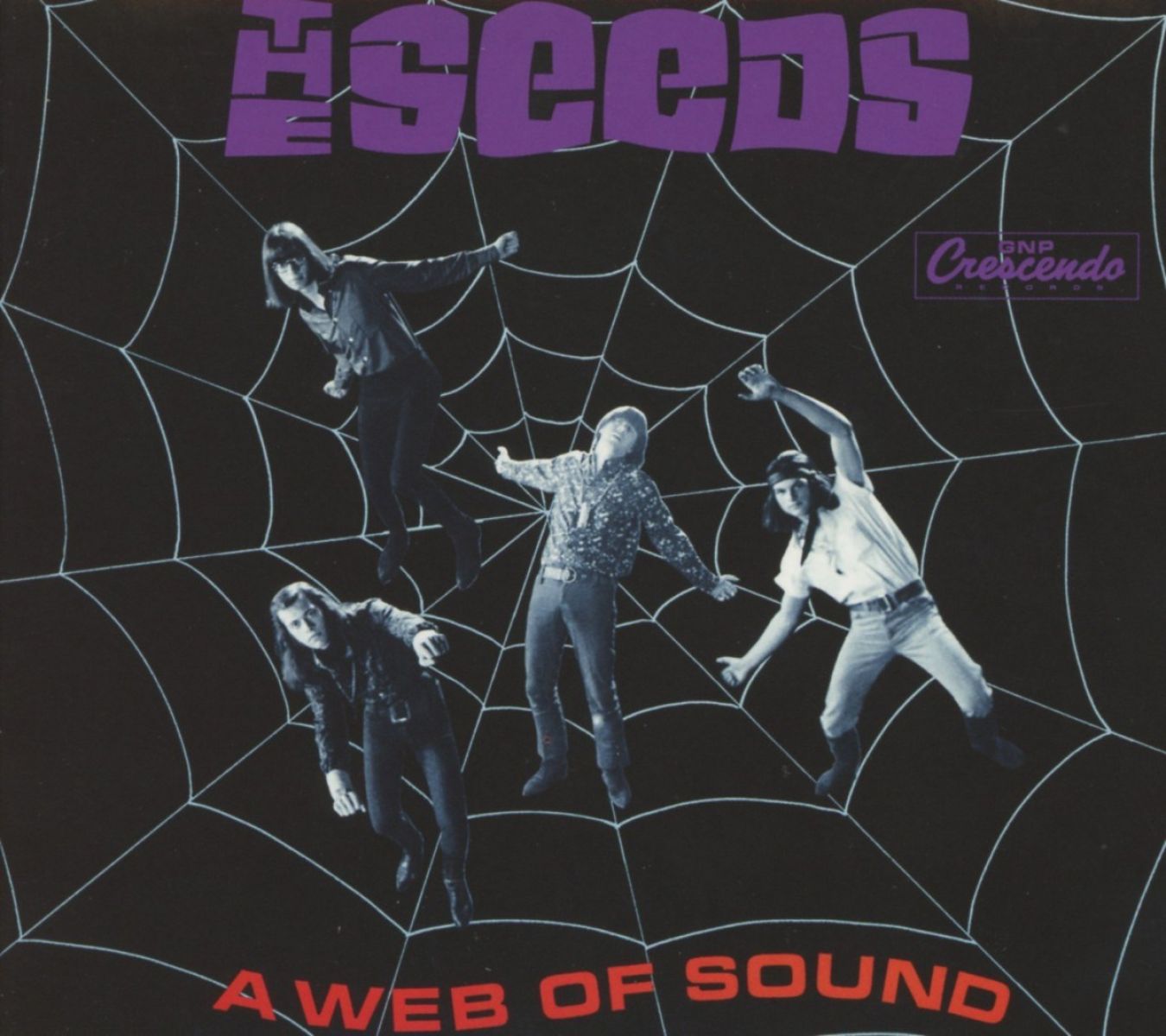 Afbeelding van A Web Of Sound