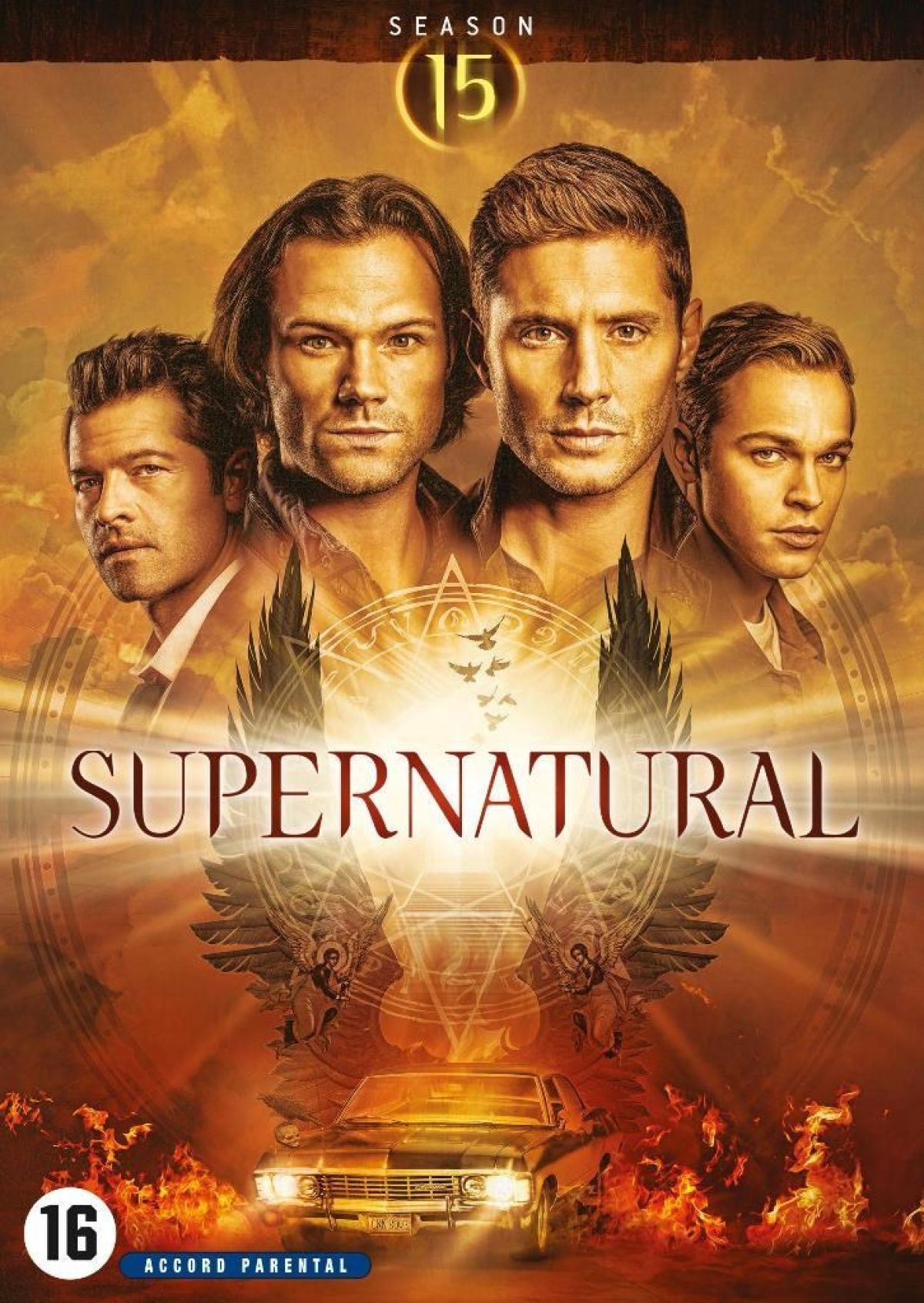 Afbeelding van Supernatural - Seizoen 15 