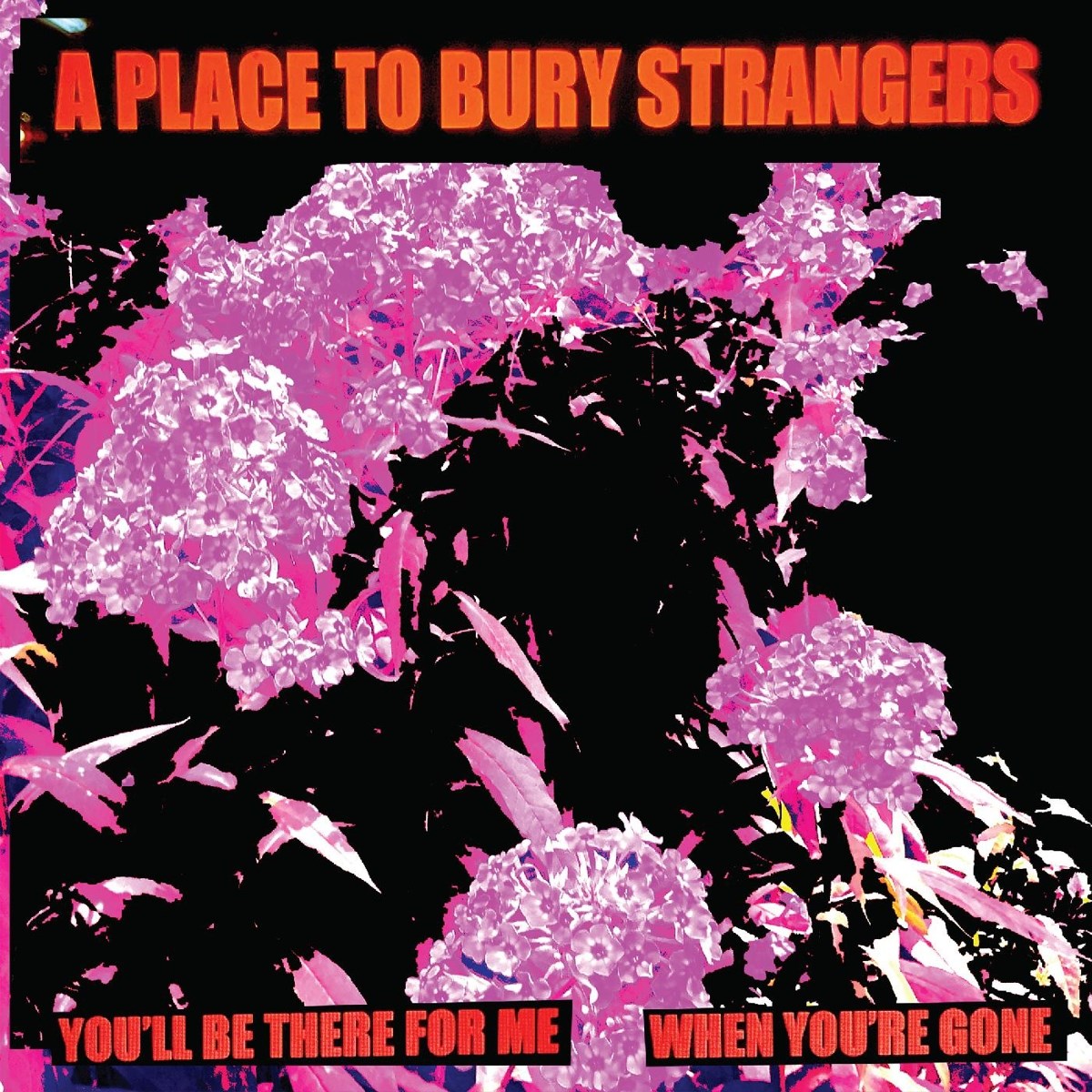 Afbeelding van A Place To Bury Strangers - You'll Be There For Me/When You're Gone