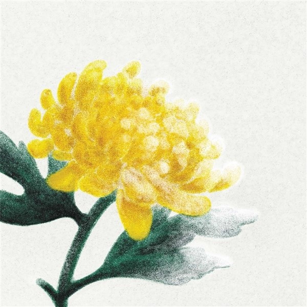 Afbeelding van Various Artists - Spring Snow