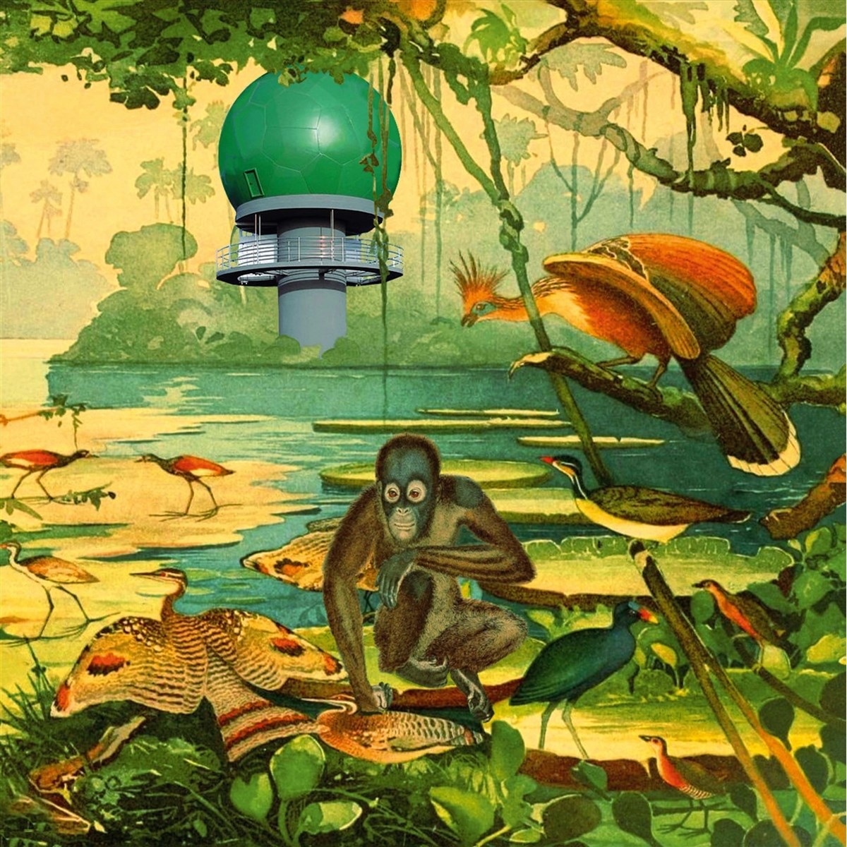 Afbeelding van Various Artists - Radar 2