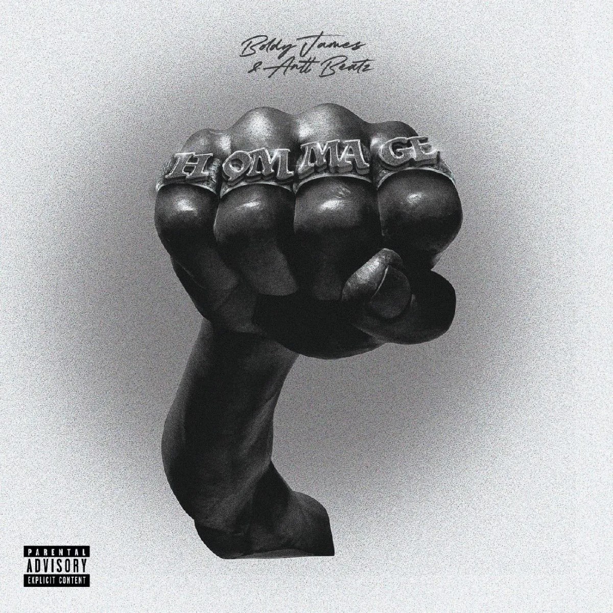 Afbeelding van Boldy James & Antt Beatz - Hommage