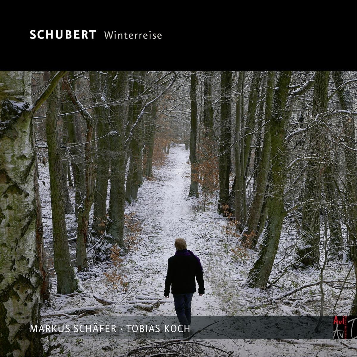 Afbeelding van Schubert, Die Winterreise