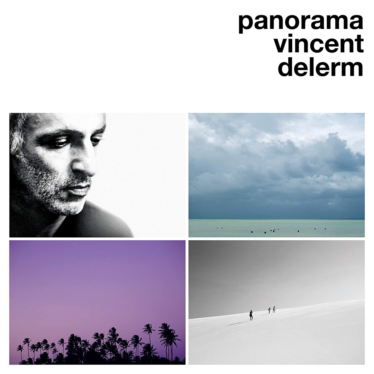 Afbeelding van Vincent Delerm - Panorama