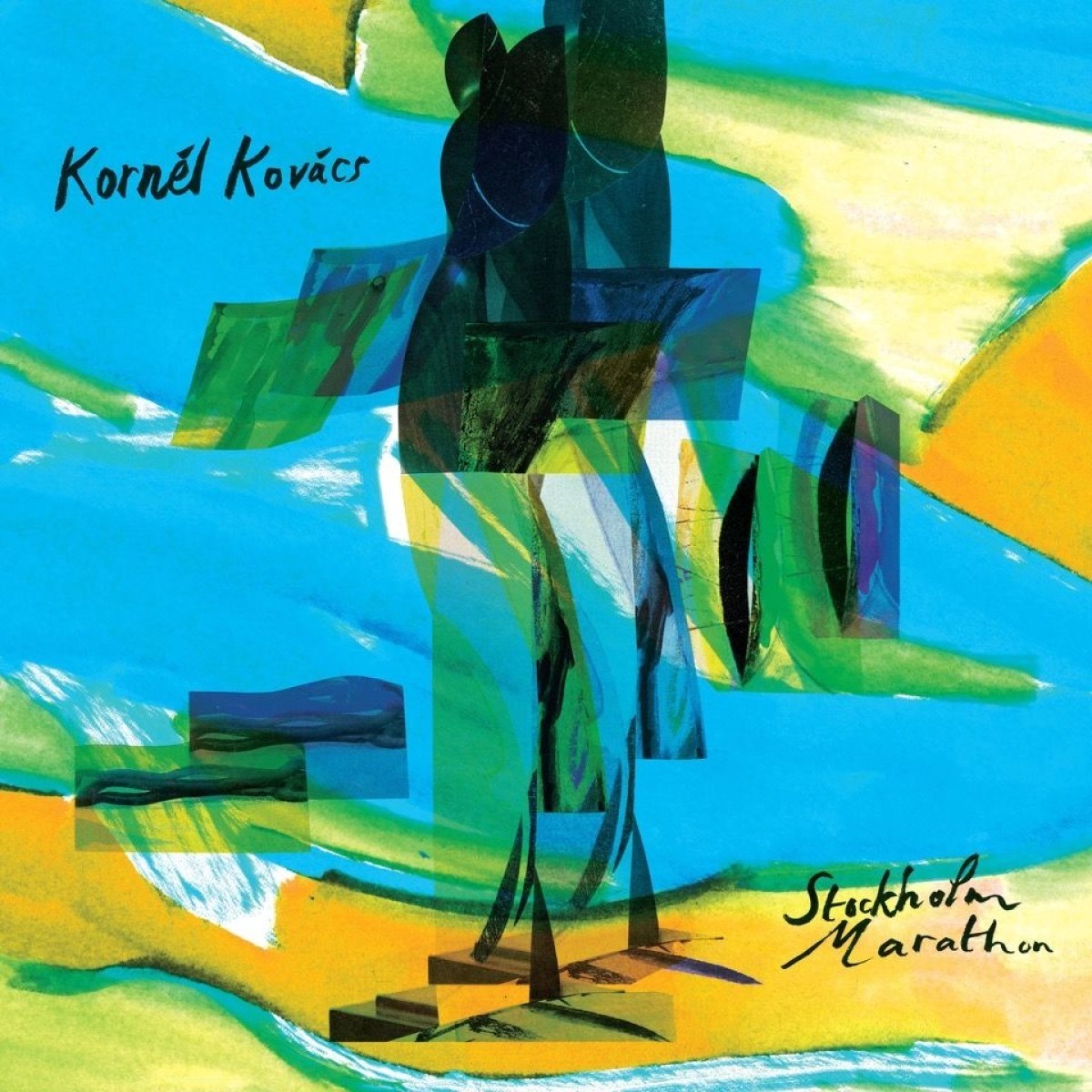 Afbeelding van Kornél Kovács - Stockholm Marathon
