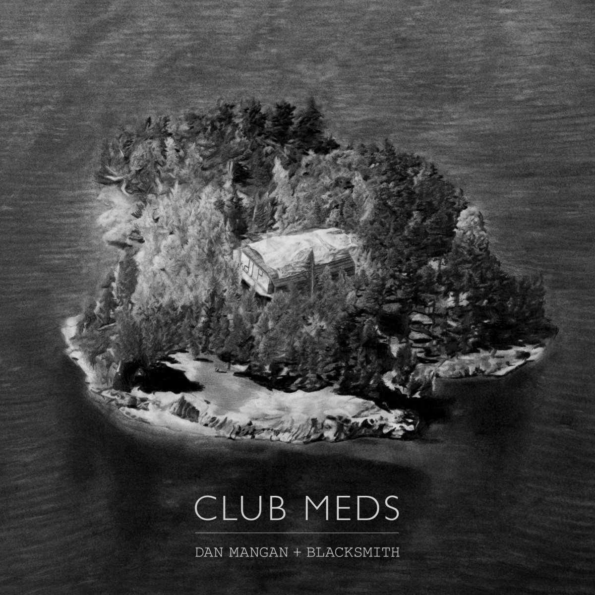 Afbeelding van Dan Mangan + Blacksmith - Club Meds