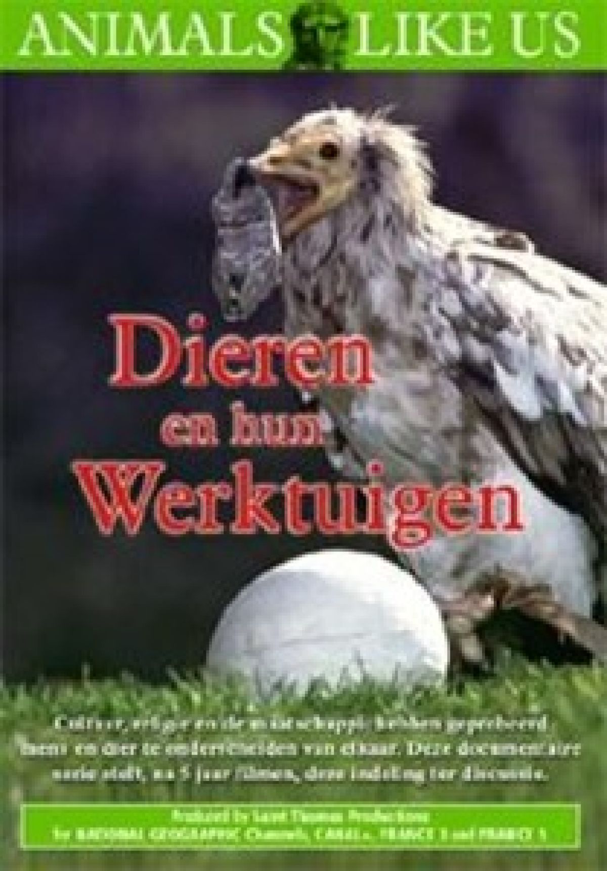 Afbeelding van Dieren En Hun Werktuigen