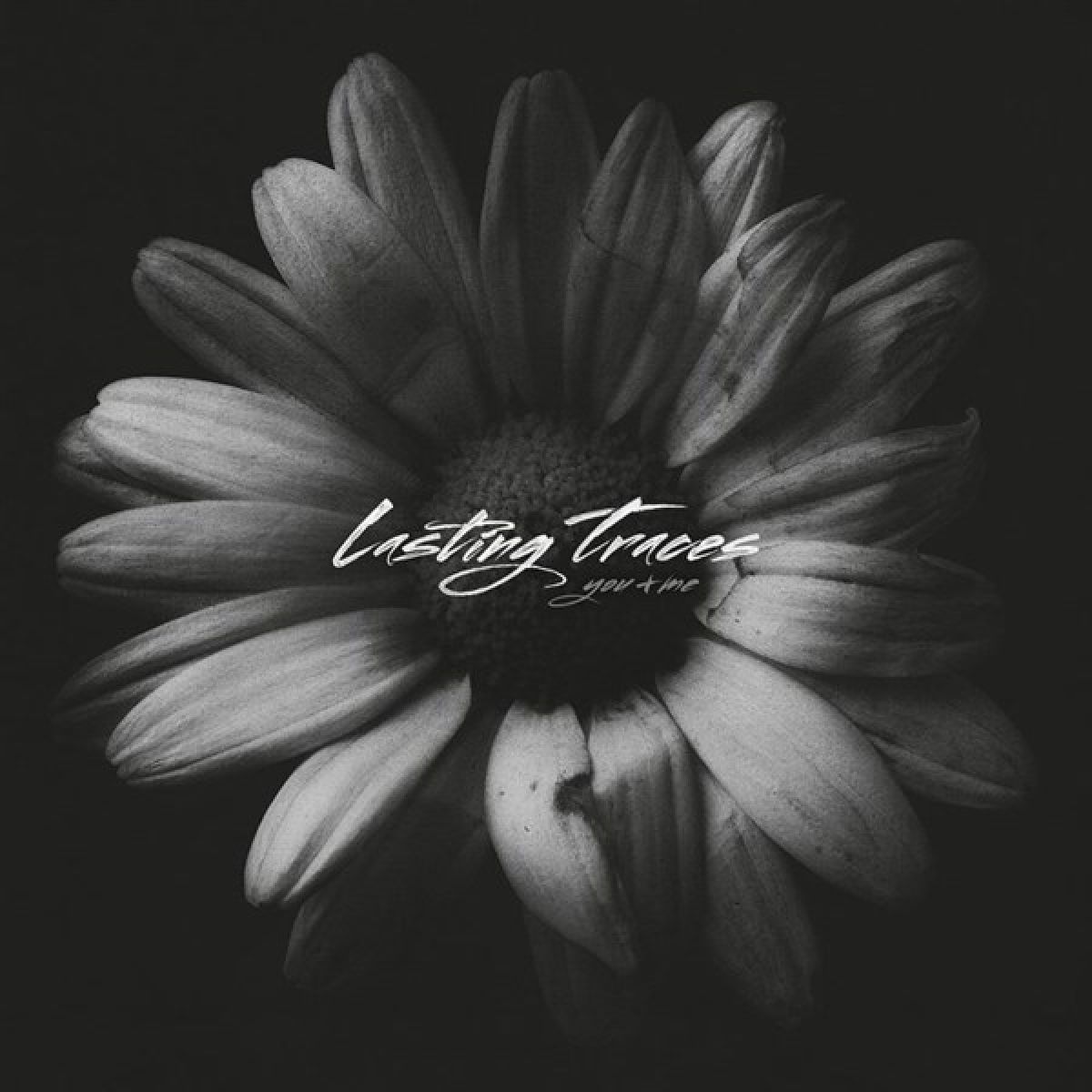 Afbeelding van Lasting Traces - You + Me