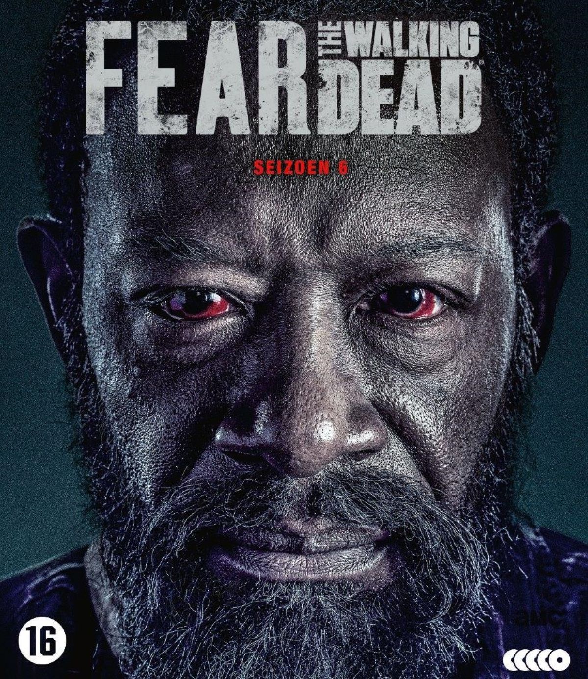Afbeelding van Fear The Walking Dead - Seizoen 6