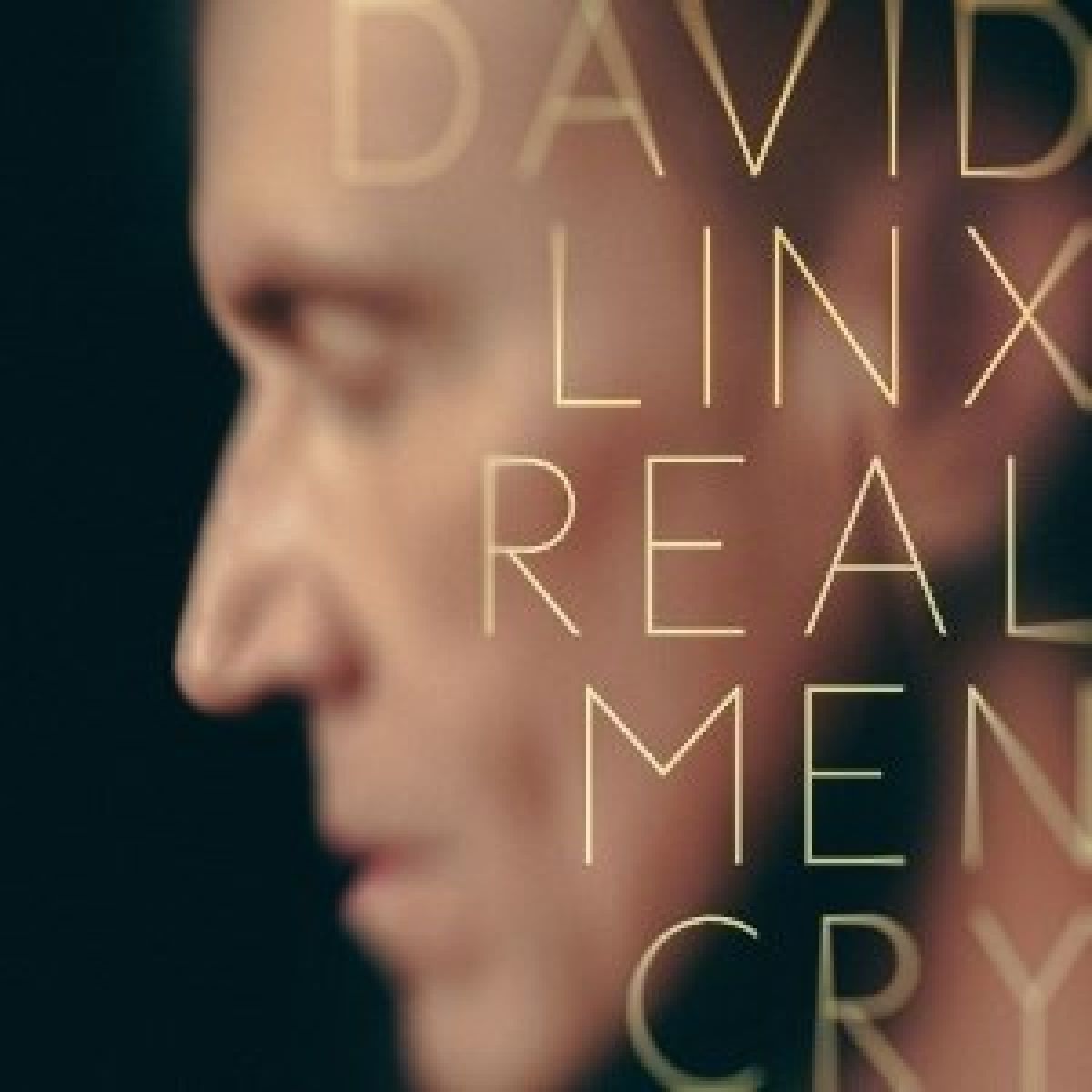 Afbeelding van David Linx - Real Men Cry