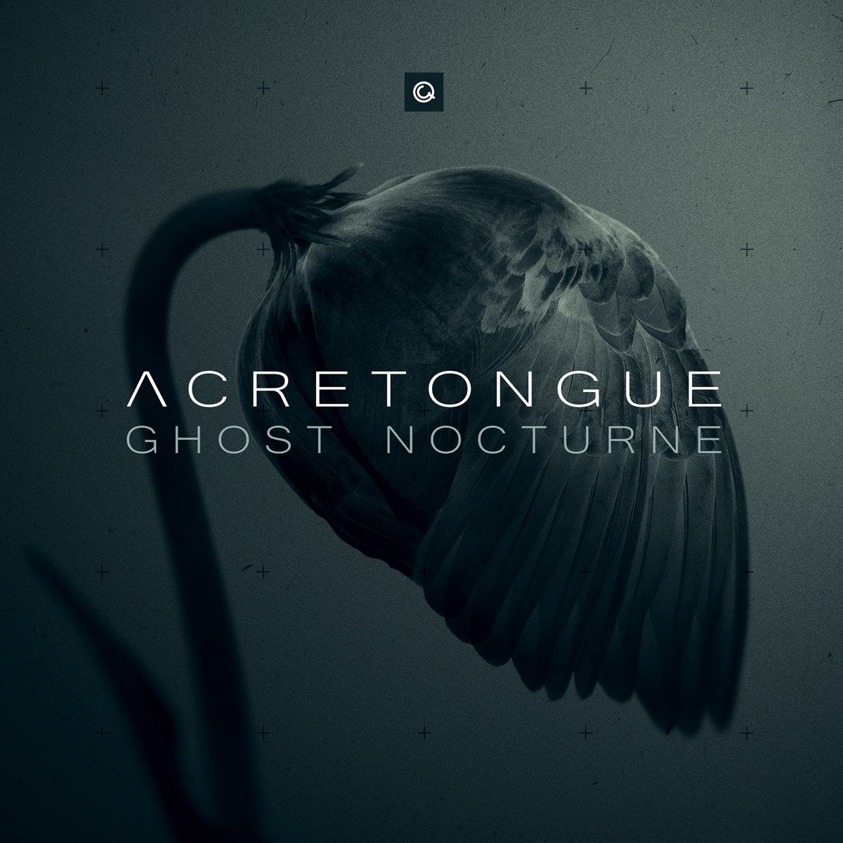 Afbeelding van Acretongue - Ghost Nocturne
