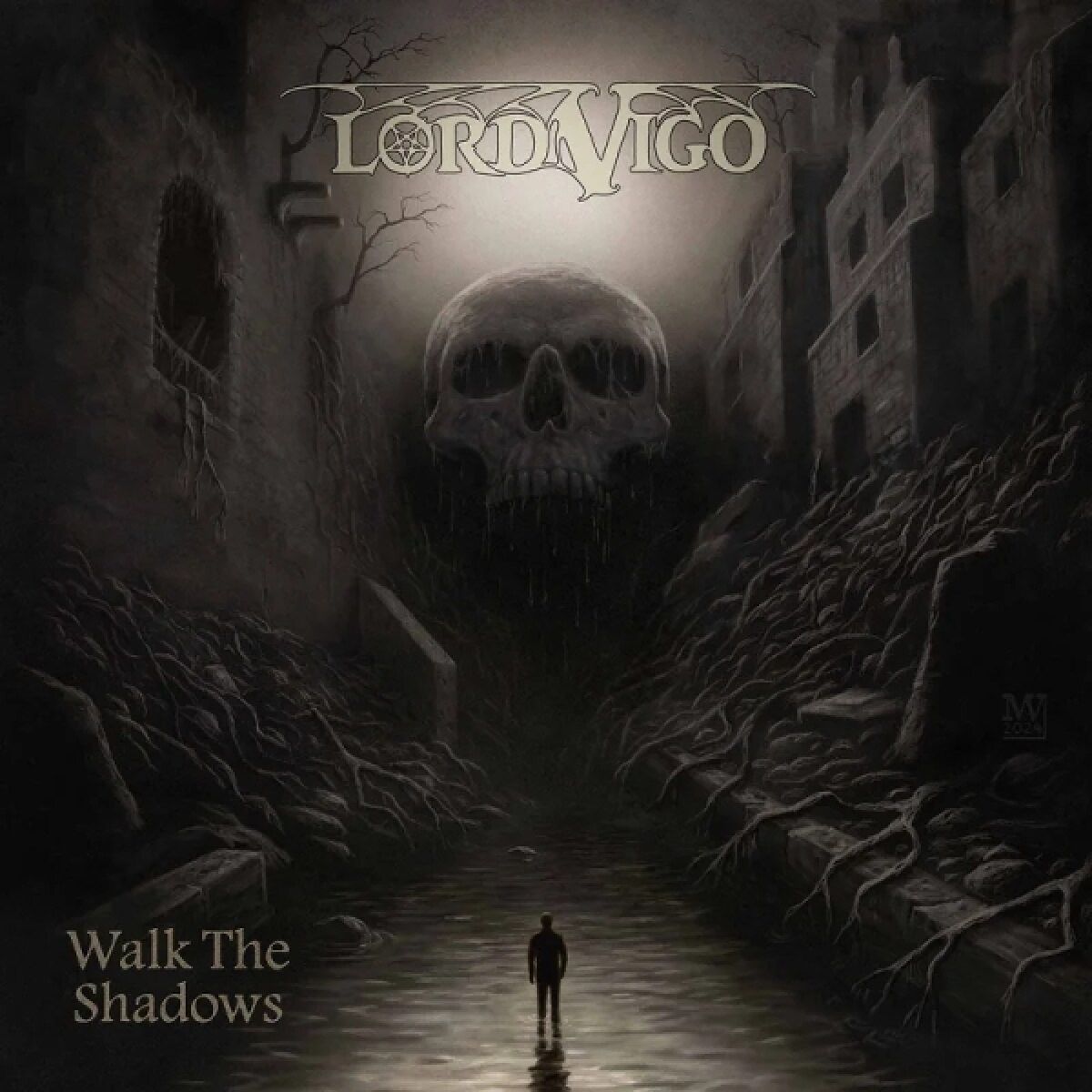 Afbeelding van Walk The Shadows