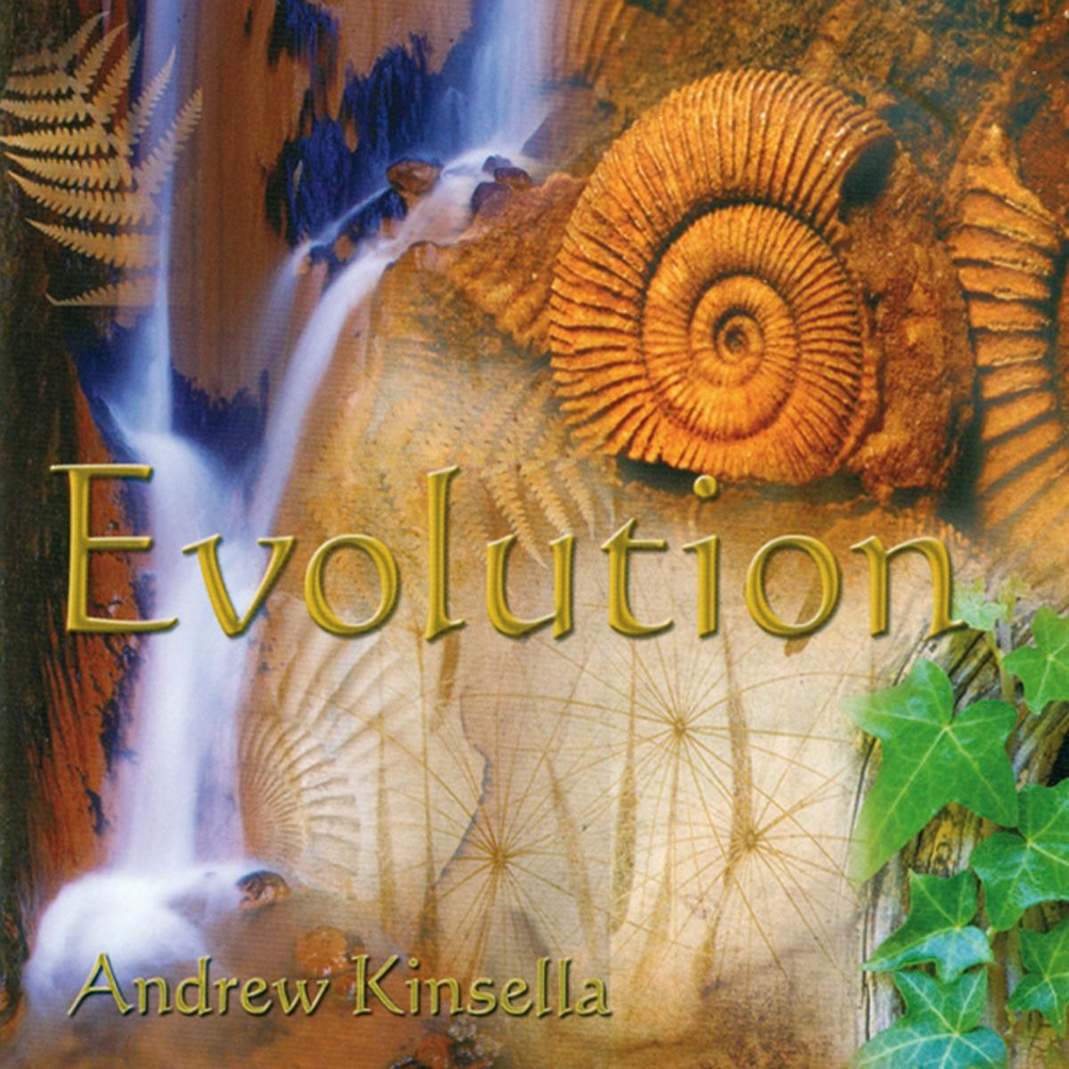 Afbeelding van Andrew Kinsella - Evolution