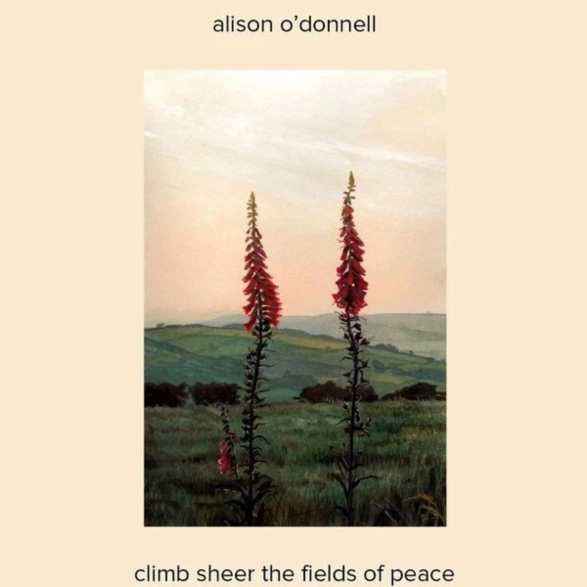 Afbeelding van Alison O'Donnell - Climb Sheer The Fields Of Peace