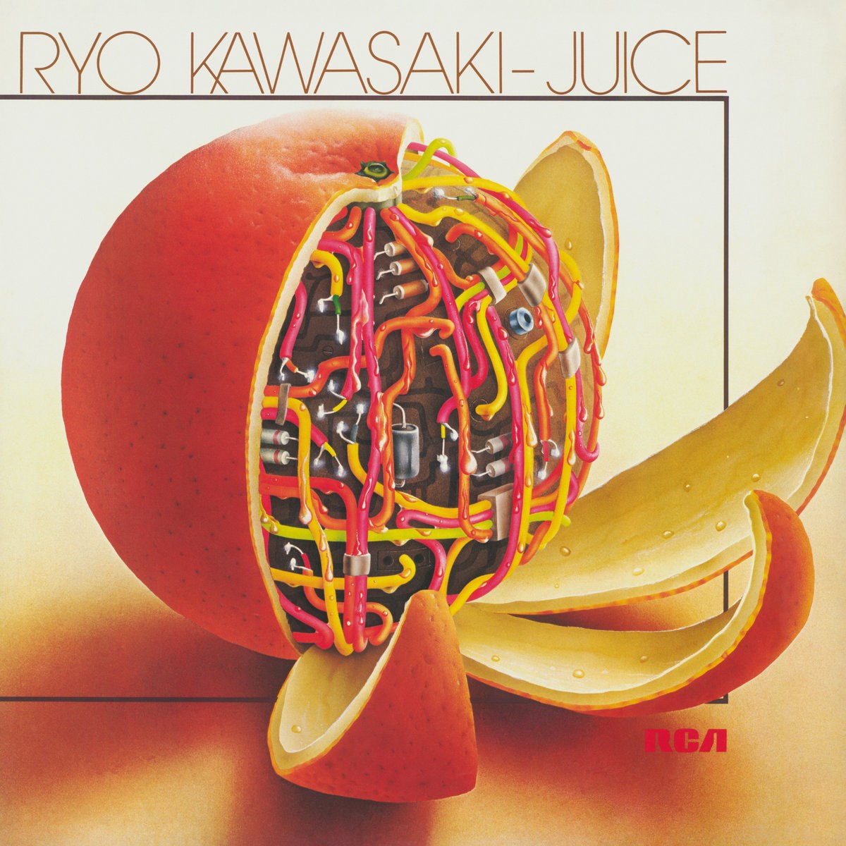 Afbeelding van Ryo Kawasaki - Juice-Nb