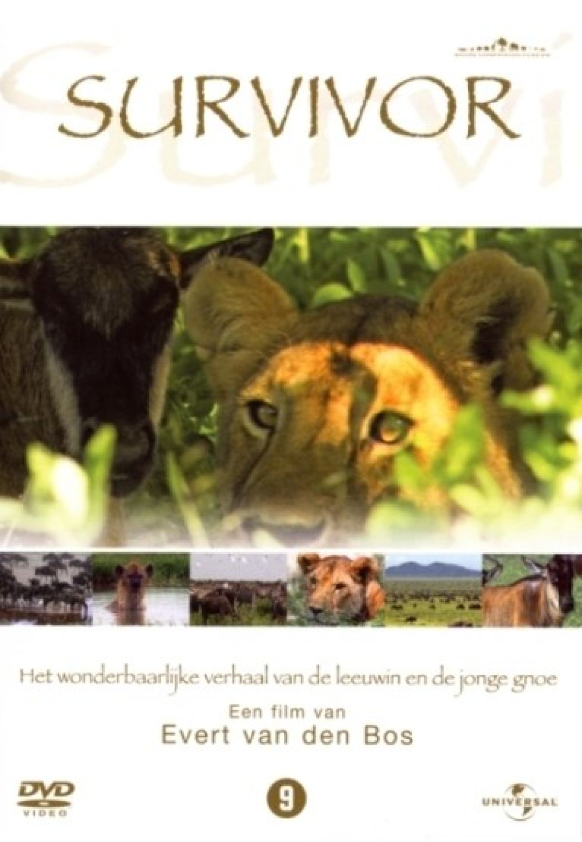 Afbeelding van Survivor