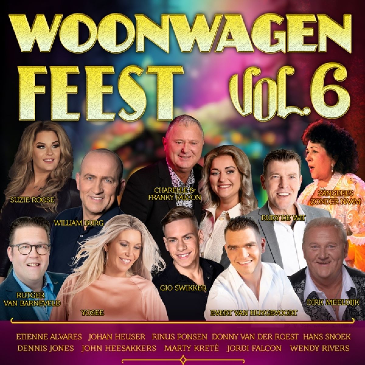 Afbeelding van Various Artists - Woonwagen Feest Vol 6