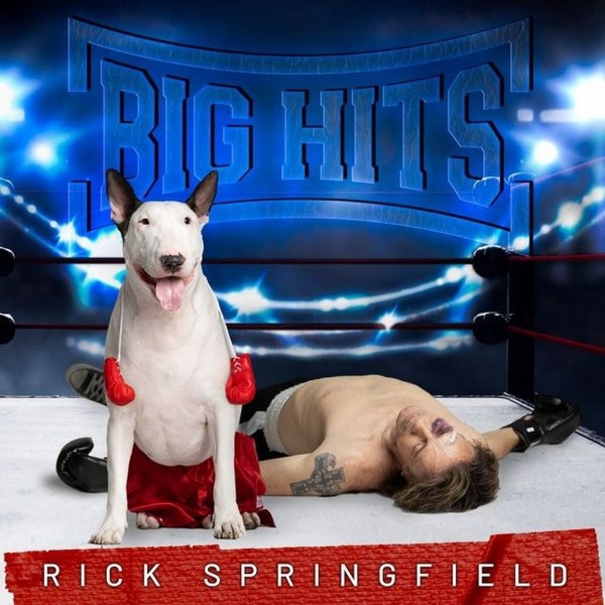 Afbeelding van Rick Springfield - Big Hits: Rick Springfield's Greatest Hits, Vol. 2