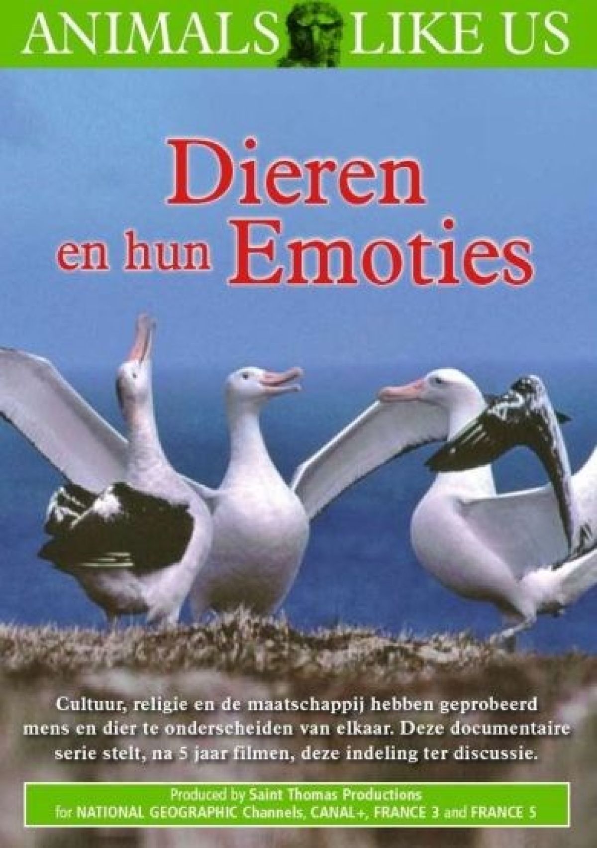 Dieren En Hun Emoties