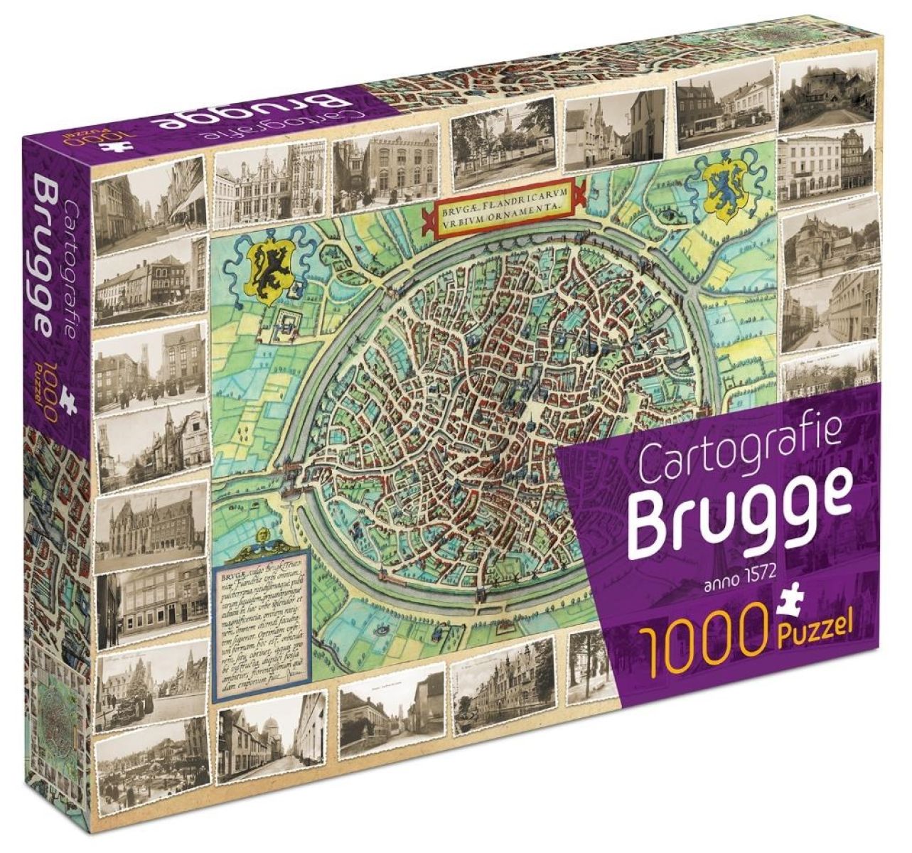 Cartografie Brugge (1000 stukjes)