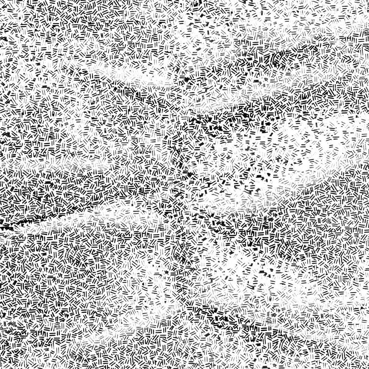 Afbeelding van Useless Eaters - Temporary Mutilation