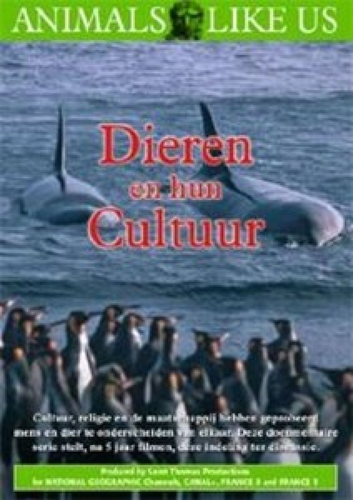 Dieren En Hun Cultuur