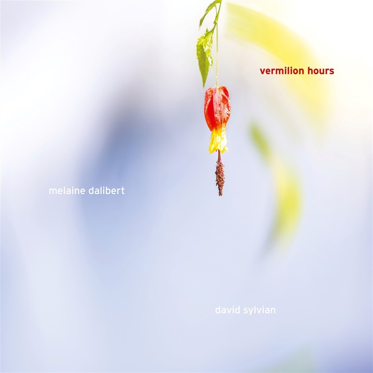 Afbeelding van Melaine Dalibert & David Silvian - Vermillion Hours