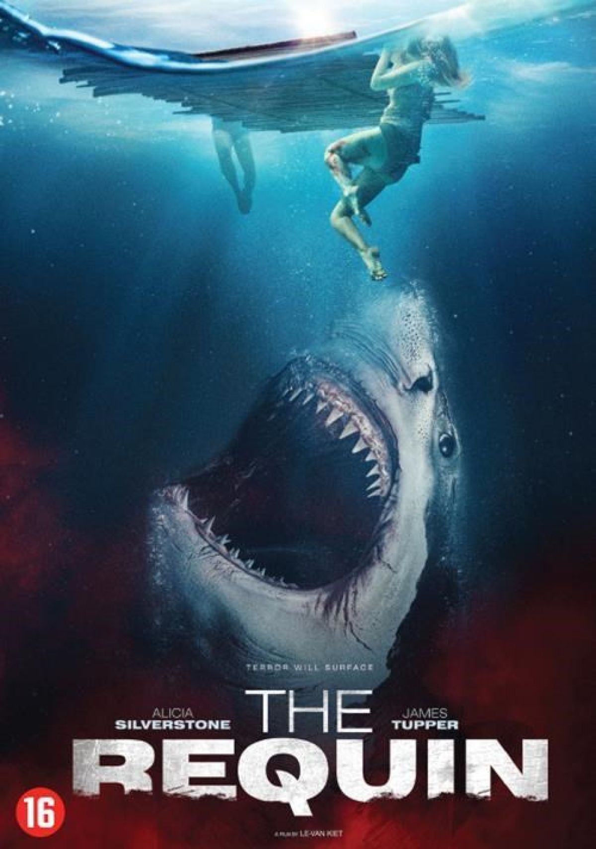 Afbeelding van The Requin